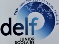 delf1