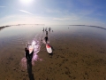 { "product_id": "0901", "uuid": "7C25571D731B0B84F3A9CB8AD74D35E0", "run_date": "2018-04-17T165049+0200", "filename": "Bebop_Drone_2018-04-17T165239+0200_7C2557.jpg", "media_date": "2018-04-17T165239+0200" }