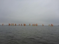 2018 MBO-Surffahrt 1hj18_19 148