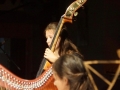 DSC00507