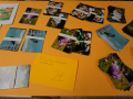 DSC00798