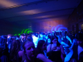 DSC01377