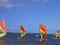 2023_Oktober-Grundkursfahrt-Windsurfen-182