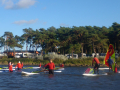 2024_Grundkurs-Windsurfen-91