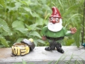 zwerg_MG_4460_web
